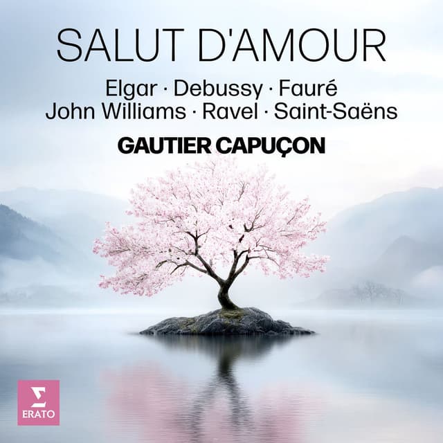 Salut d'amour - Elgar, Debussy, Fauré, John Williams, Ravel, Saint Saëns cover