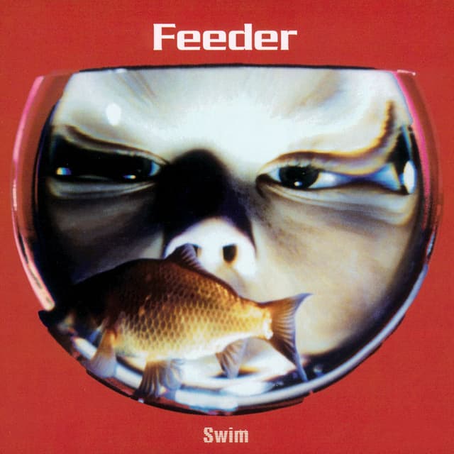 Swim cover