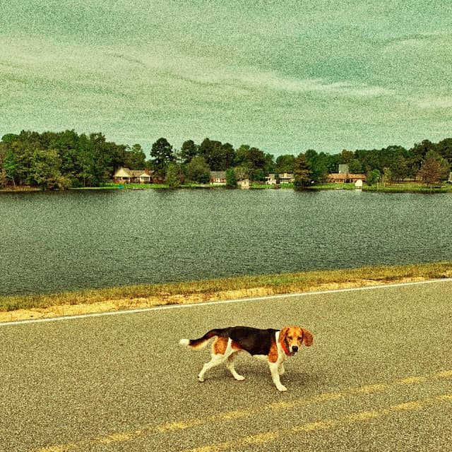 The Bay cover