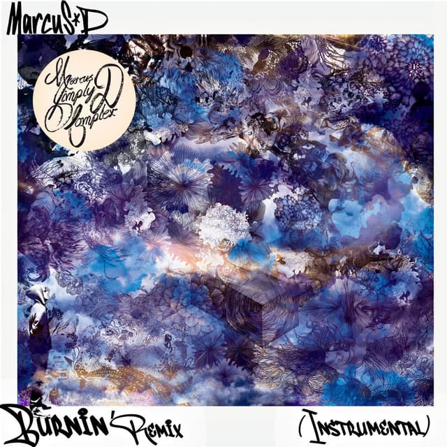 Burnin (Remix Instrumental) cover