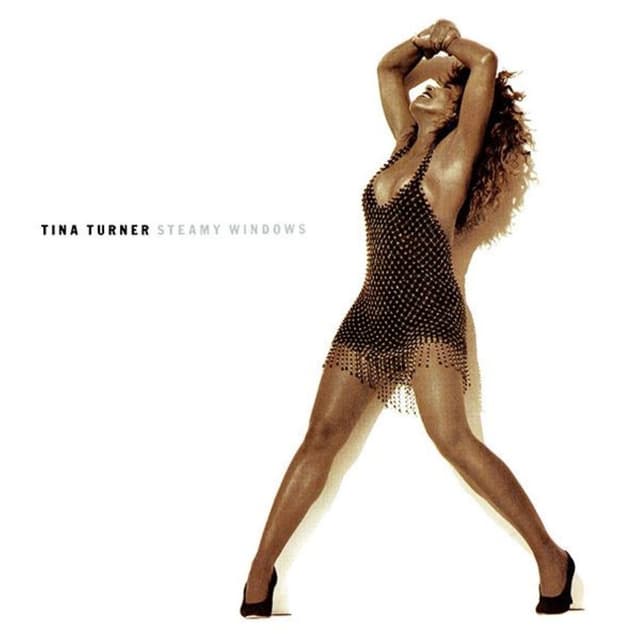 Steamy Windows (The Singles) cover