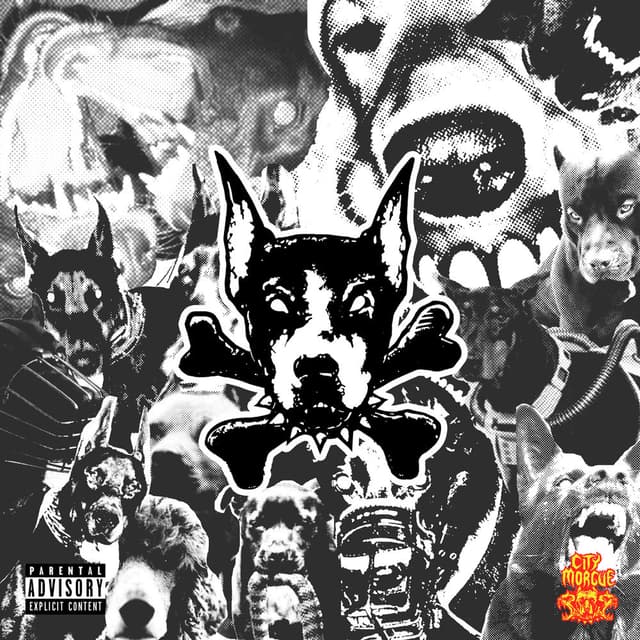 DAWG cover