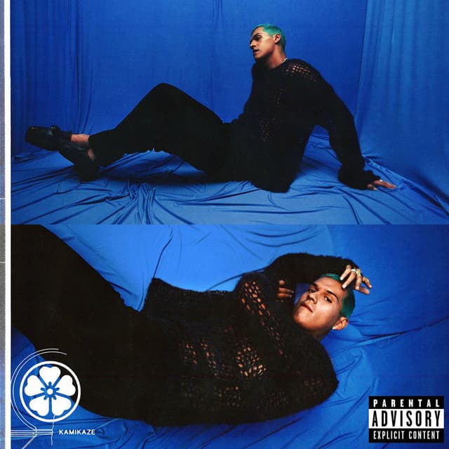 Kamikaze cover