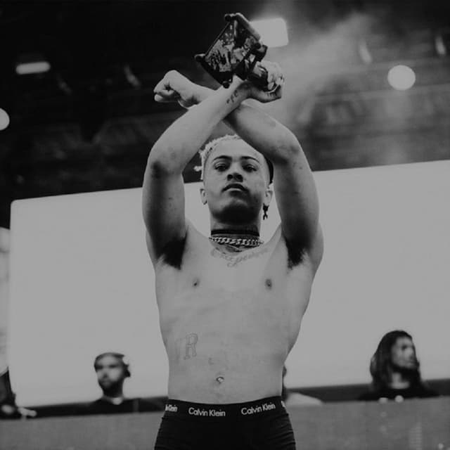 Rip X cover