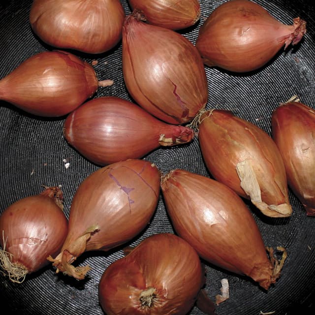 Fried Shallots cover