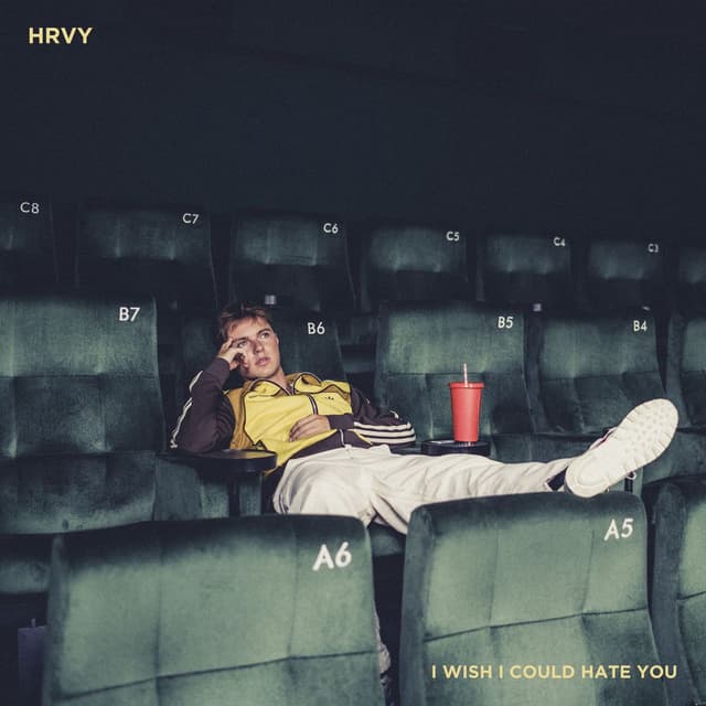 I Wish I Could Hate You cover