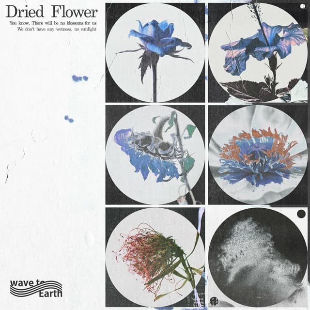 dried flower cover