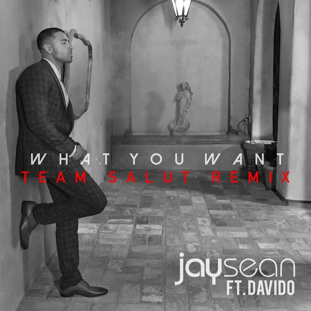 What You Want (Team Salut Remix) cover