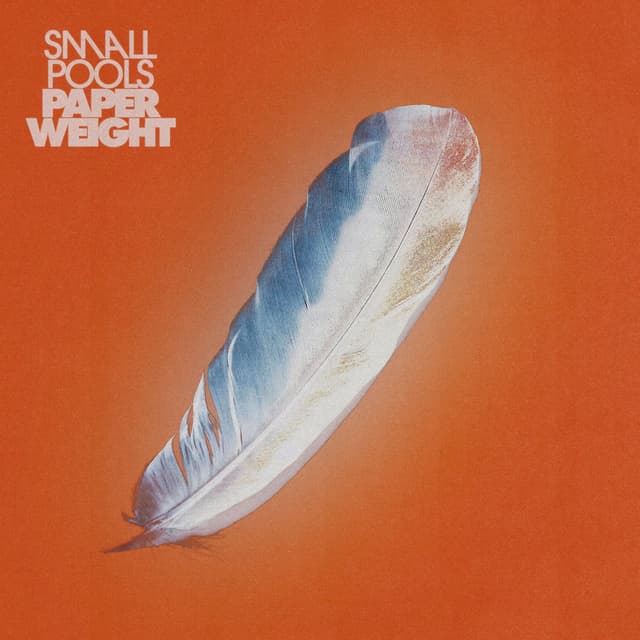 Paperweight cover