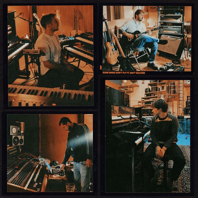 Some Birds Don't Fly cover