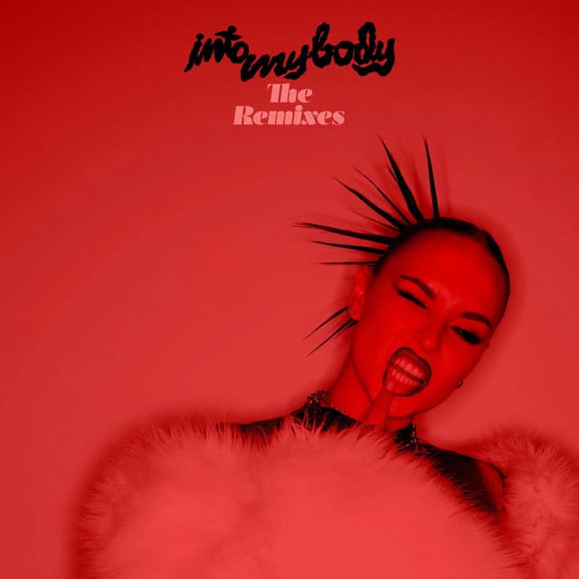 Into My Body (The Remixes) cover