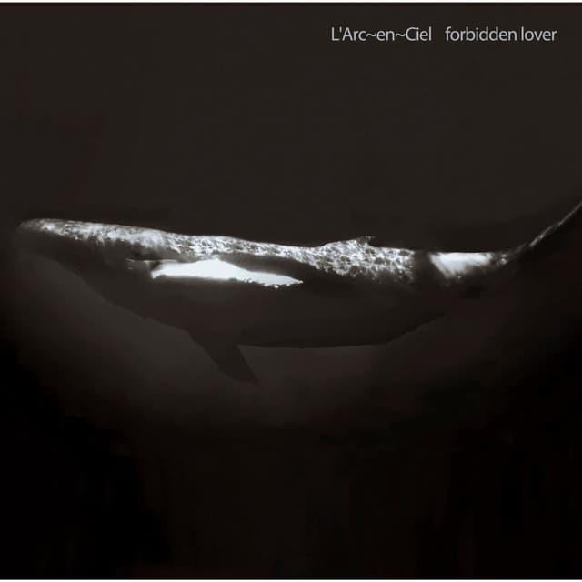 forbidden lover cover