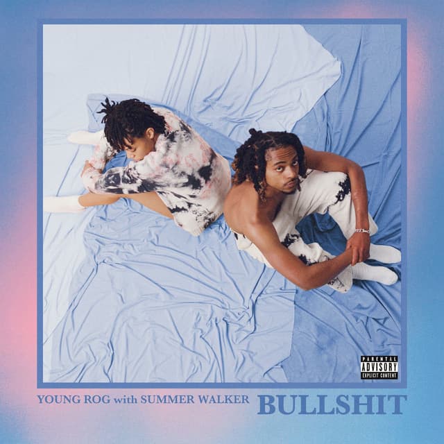 Bullshit cover