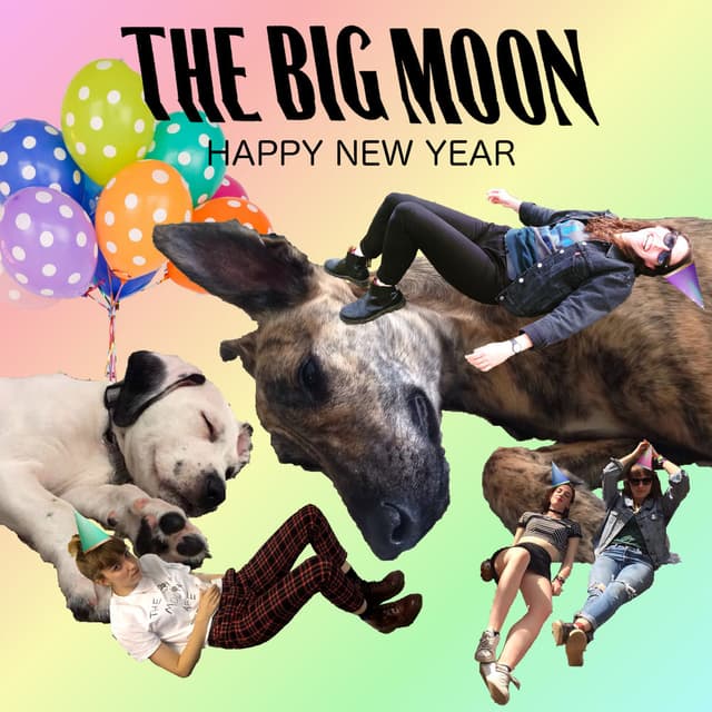 Happy New Year cover