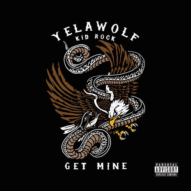 Get Mine cover