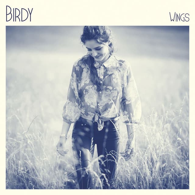 Wings cover
