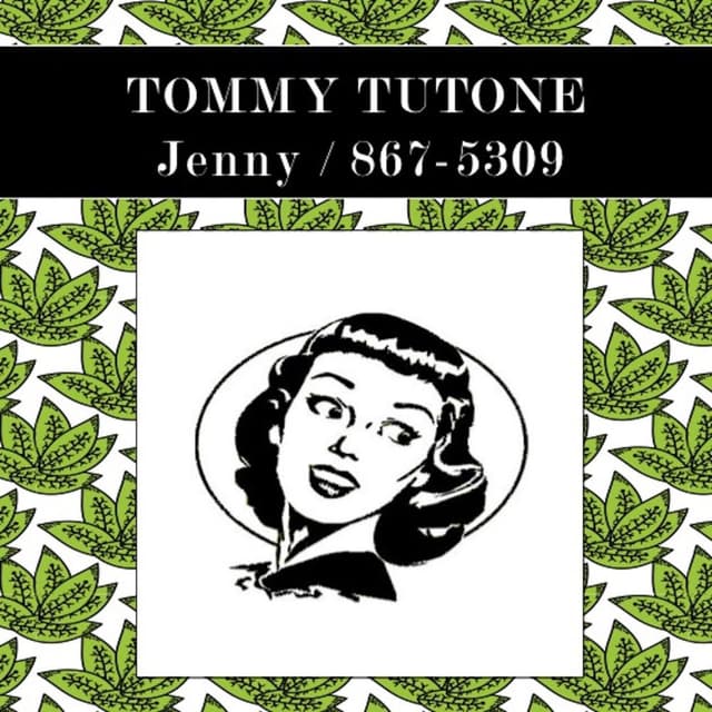 Jenny / 867-5309 (In Concert) cover