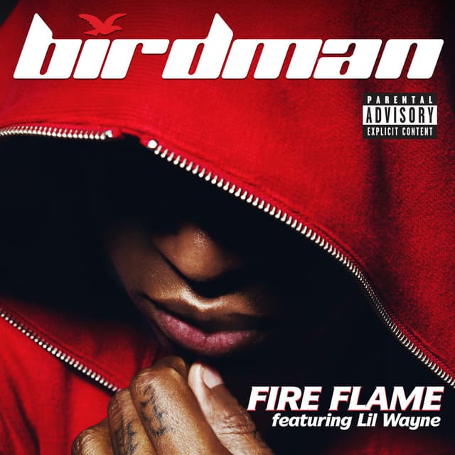 Fire Flame cover