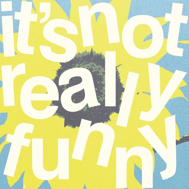 It's Not Really Funny cover