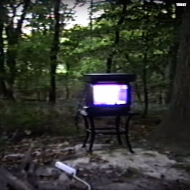 Disgrace cover