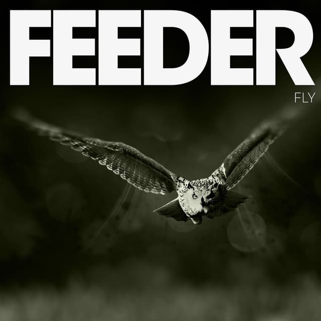 Fly cover