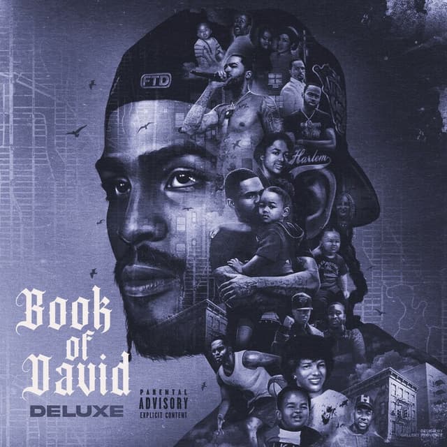 Book of David (Deluxe) cover