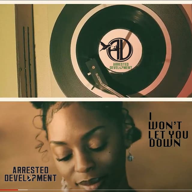 I Won' Let You Down cover