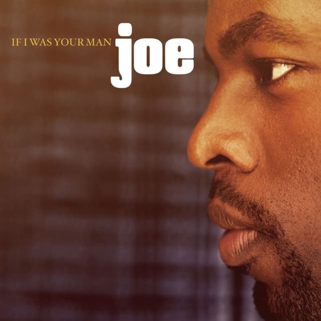 If I Was Your Man cover