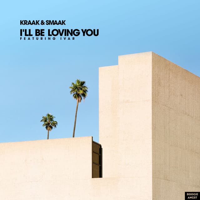 I'll Be Loving You cover