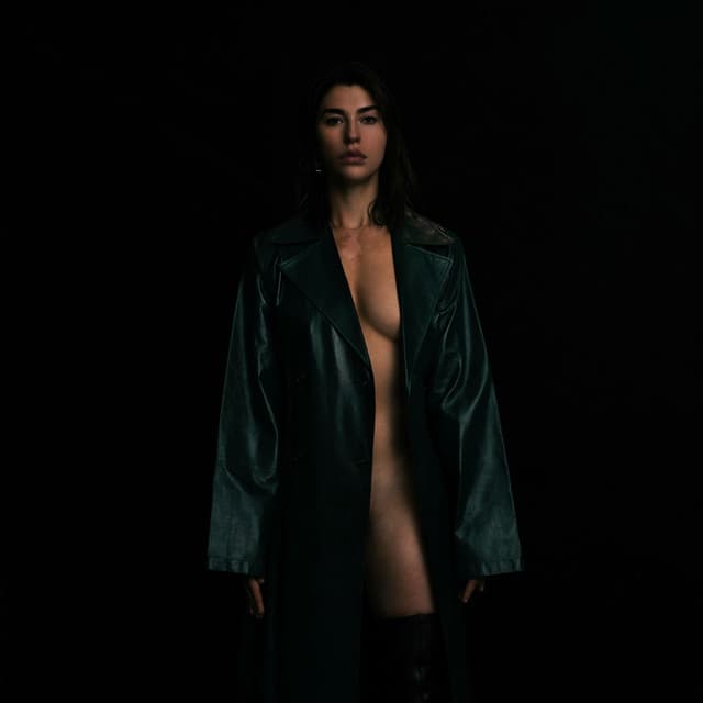 The Robin cover