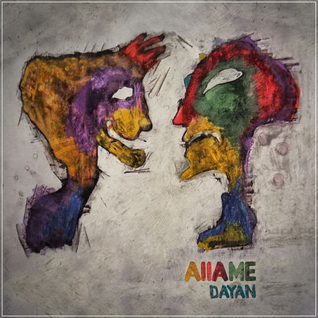 Dayan cover