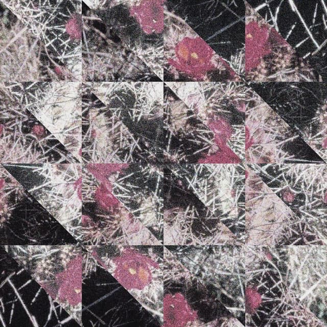 Feast-Famine cover