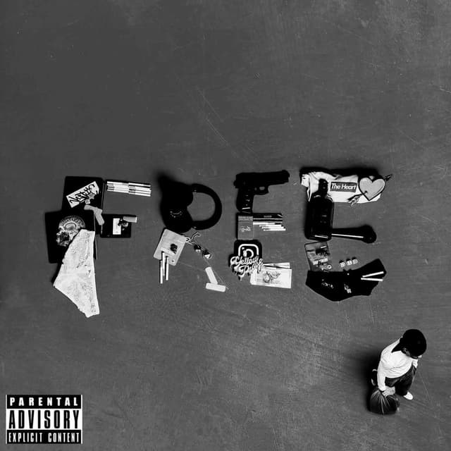 FREE cover