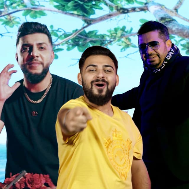 Vin Roze cover