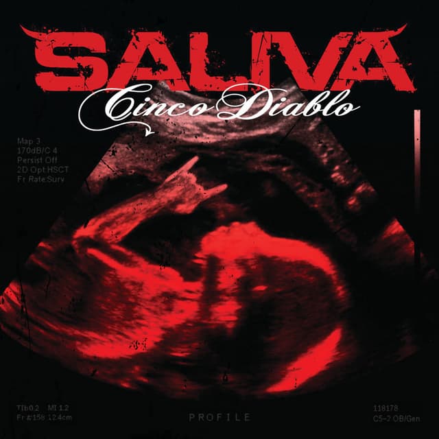 Cinco Diablo cover