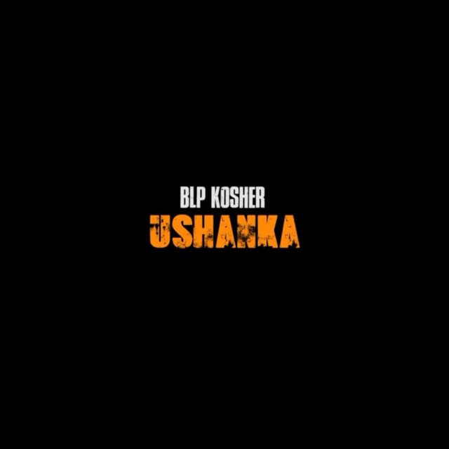 Ushanka cover