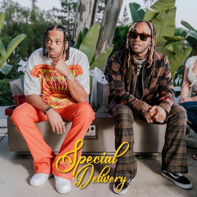 Special Delivery (feat. Ty Dolla $ign) cover