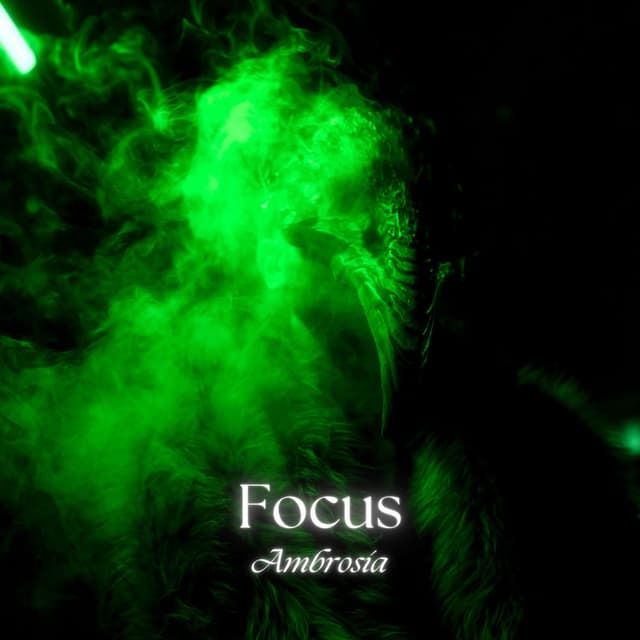 Focus cover