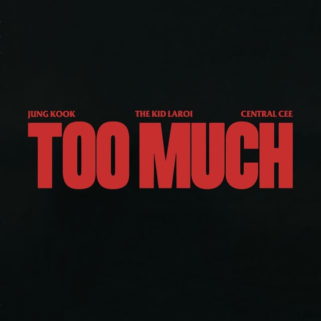 TOO MUCH album cover