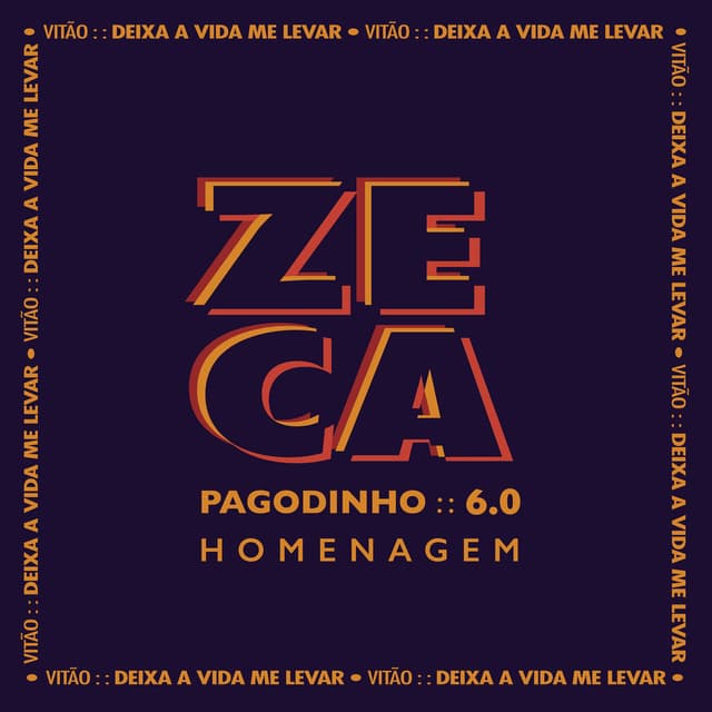 Deixa a vida me levar cover
