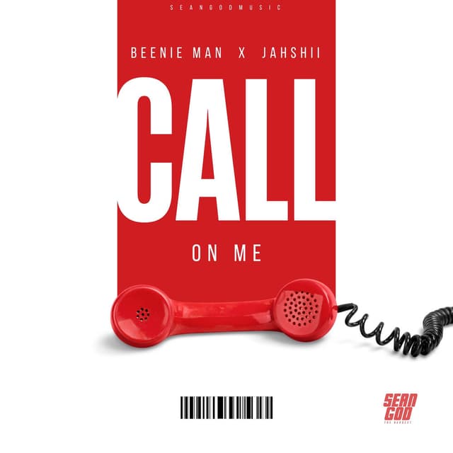Call on Me cover