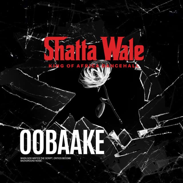 Oobaake cover