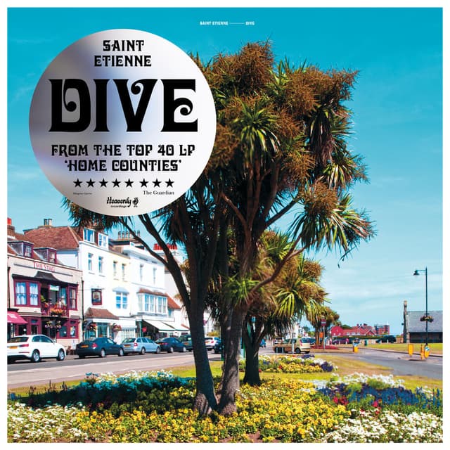 Dive cover