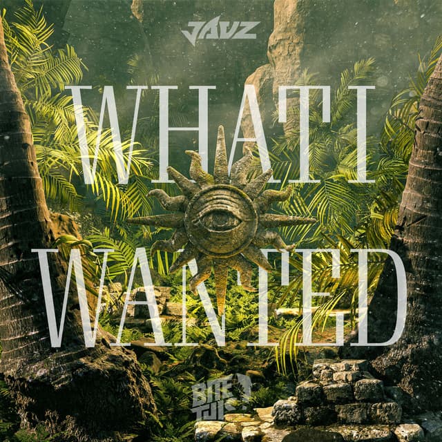 What I Wanted cover