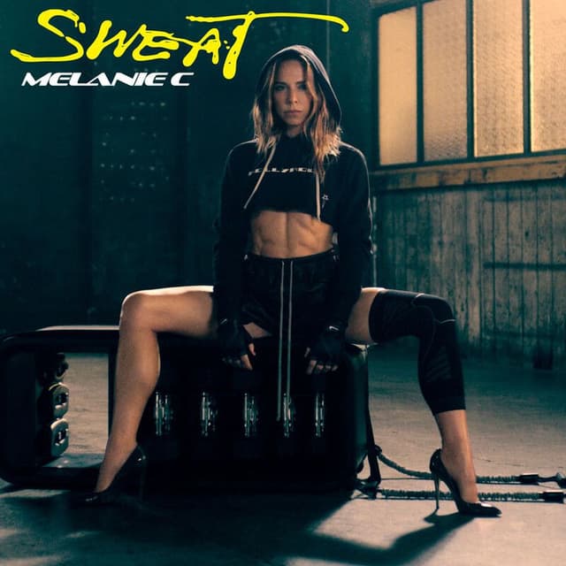 Sweat cover