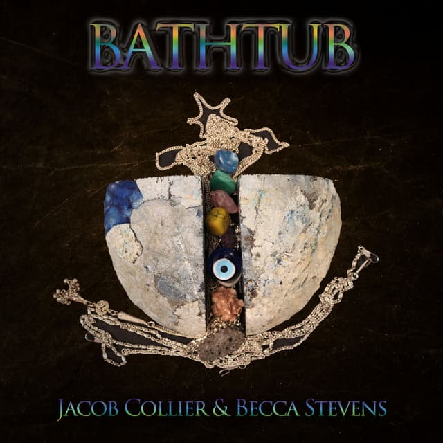 Bathtub cover