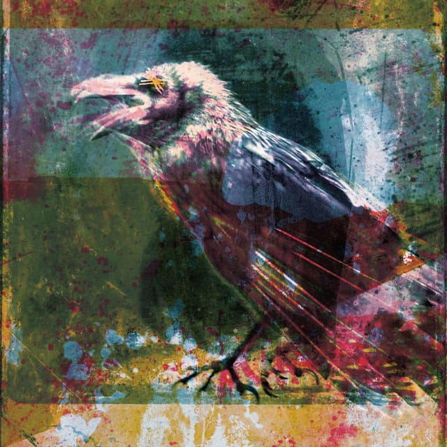 Ritchie Sacramento cover