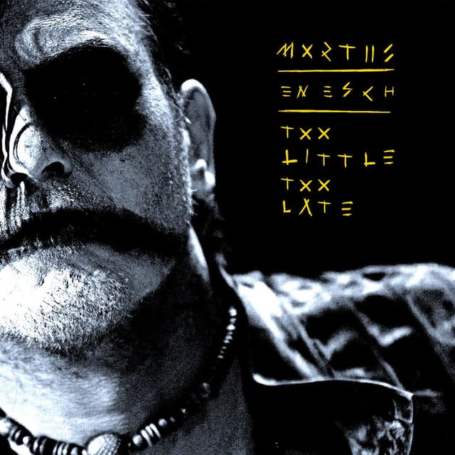 Too Little Too Late (En Esch Remix) cover