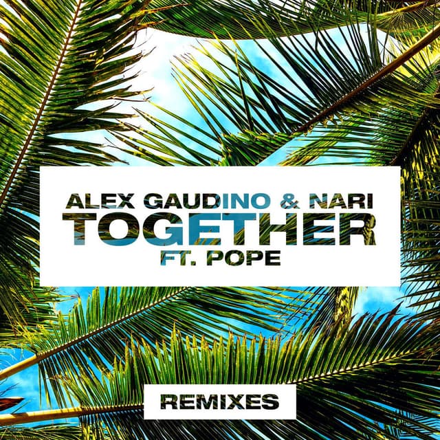 Together (feat. Pope) (Remixes) cover