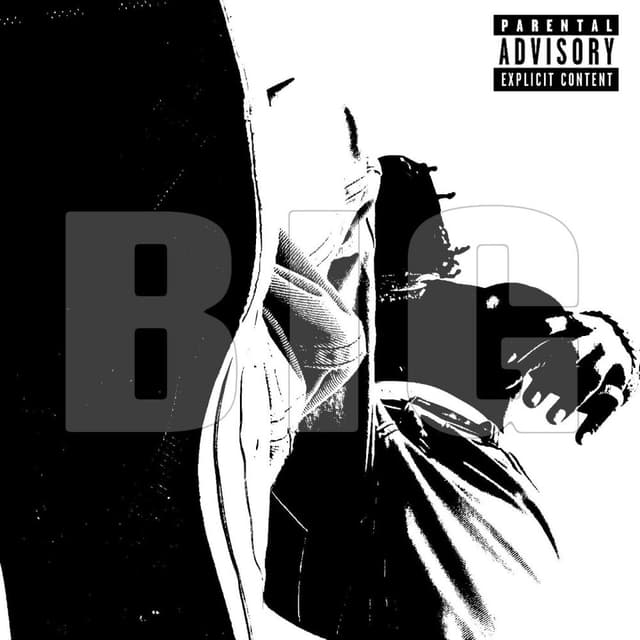 BIG cover